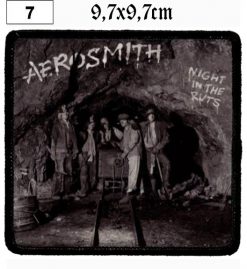 Aerosmith Night In The Ruts (07) - Small Printed Patch