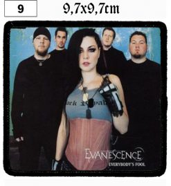 Evanescence Everybody's Fool (09) - Small Printed Patch