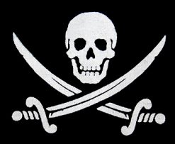 Jolly Roger 20162 1 - Small Printed Patch