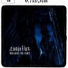 Linkin Park Breaking The Habit (18) - Small Printed Patch