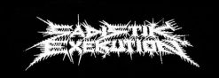 Sadistik Exekution Logo 101580 1 - Small Printed Patch