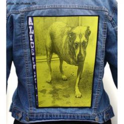 Alice In Chains 05 - Photo Quality Printed Back Patch