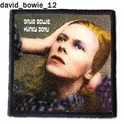 David Bowie 12 - Small Printed Patch