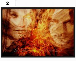 Nightwish Plane 9648 - Small Printed Patch