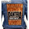 Pantera 12 - Photo Quality Printed Back Patch