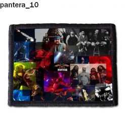 Pantera 10 - Small Printed Patch