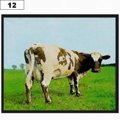 Pink Floyd Atom 9719 - Small Printed Patch