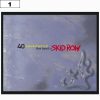 Skid Row 40 Sea 9907 - Small Printed Patch