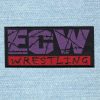 Ecw Wresting - Small Embroidery Patch