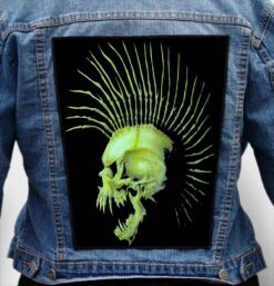 THE EXPLOITED 7 - Photo Quality Printed Back Patch