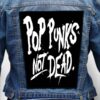 new found glory 5 - Photo Quality Printed Back Patch