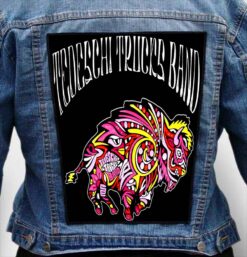 tedeschi trucks band 11 - Photo Quality Printed Back Patch