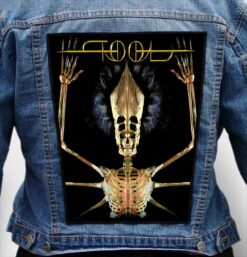 tool band 1 3 - Photo Quality Printed Back Patch